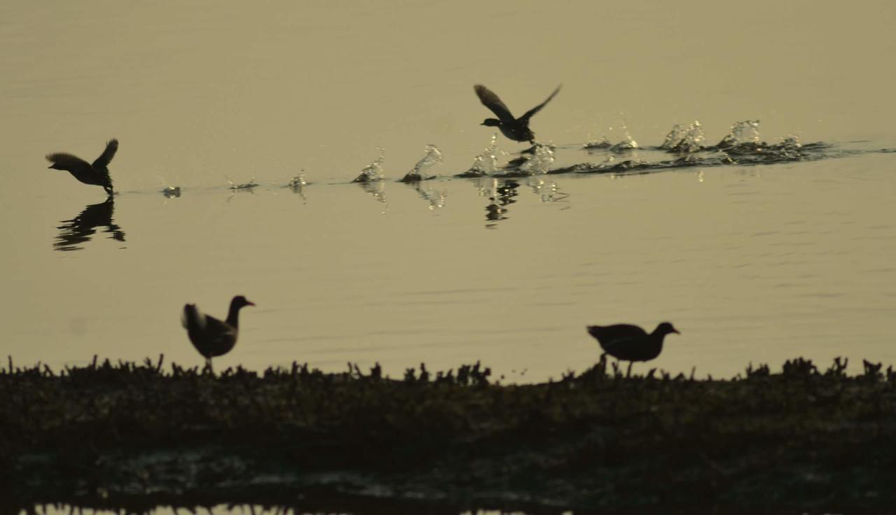 Water Bird Family Apartman Toucseng Kültér fotó